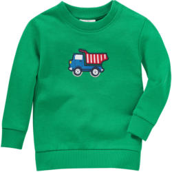 Jungen Sweatshirt mit Kipper-Applikation