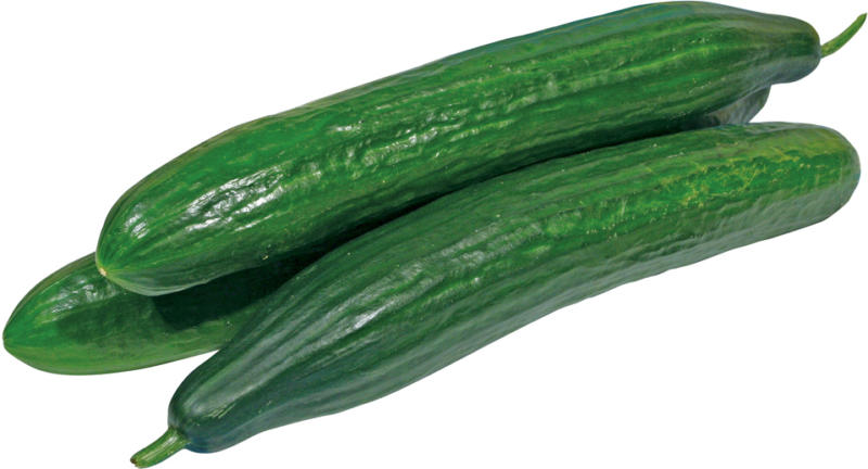 Gurken - Salatgurken Stück