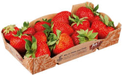 Ja! Natürlich Bio Erdbeeren aus Italien