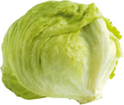 Eisbergsalat