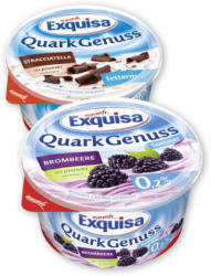 Exquisa Topfencreme