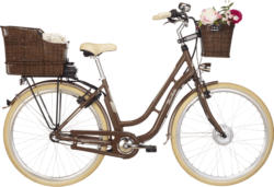E-Bike Retro DE 28 3G ER 1804-S2, braun