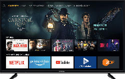 Fernseher 49 GUB 7060 49 Zoll UHD 4K Fire Tv Edition, schwarz