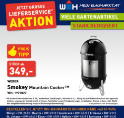 Weber Smokey Mountsin Cooker