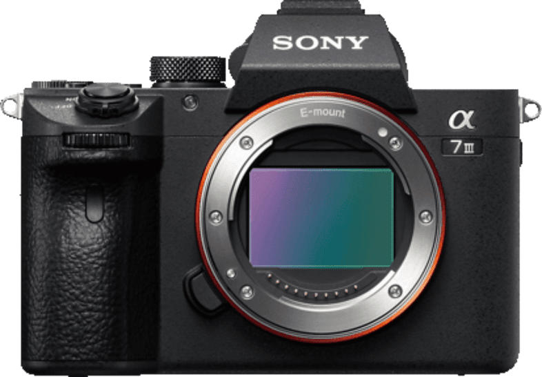 Sony Systemkamera Alpha 7 III Gehäuse, schwarz (ILCE-7M3)