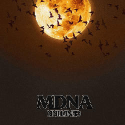 MDNA Deluxe Bundle (Merchandise Gr. S)