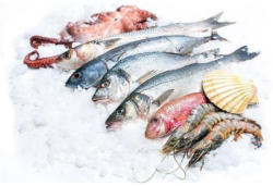 -20% auf das gesamte Frischfisch-Sortiment