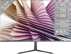 Monitor PMO Slim S320, 32 Zoll, grau (PMO S320-IQC)