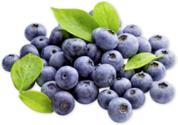 Vitaminreiche Heidelbeeren