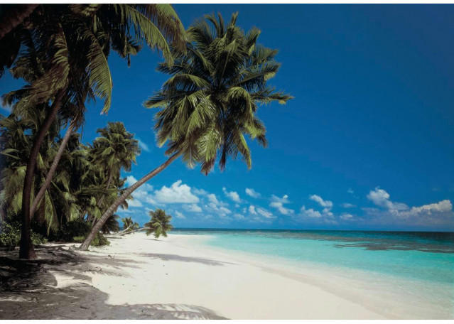 Fototapete Maldives ca. 388 x 270 cm