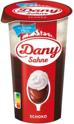 Danone Dany Sahne Schoko