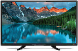 Fernseher SRT 24HB3003 60 cm (24 Zoll) HD LED (HDTV, Triple Tuner, HDMI, USB, Hotelmodus)
