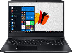 Gaming Notebook ConceptD 5 Pro CN517-71P-76BZ schwarz (NX.C55EG.002)