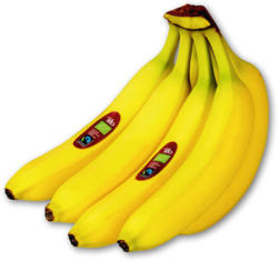 Echt Bio Süße Bananen