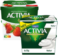 Danone Activia Joghurt
