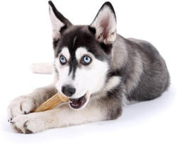-25% auf alle Pedigree Dentastix