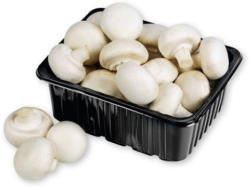 Vitaminreiche Champignons