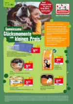 Gemeinsame Glücksmomente