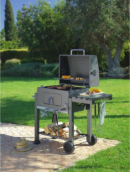 Holzkohlegrill Grillmax in Schwarz
