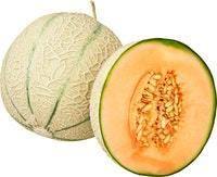 Melon cantaloup