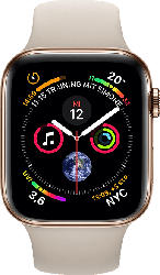 Watch Series 4 GPS + Cellular Gold, 44 mm Edelstahlgehäuse mit Sportarmband Steingrau