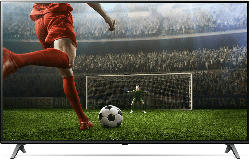 Fernseher 55SM8050PLC (2020) 55 Zoll 4K UHD NanoCell Smart TV