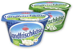 Schärdinger Landfrischkäse