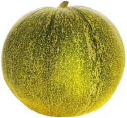 Limelon aus Spanien