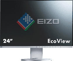 Monitor 24.1" EV2450-GY