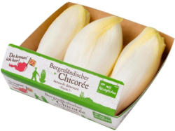 Da komm ich her! Chicoree aus Österreich