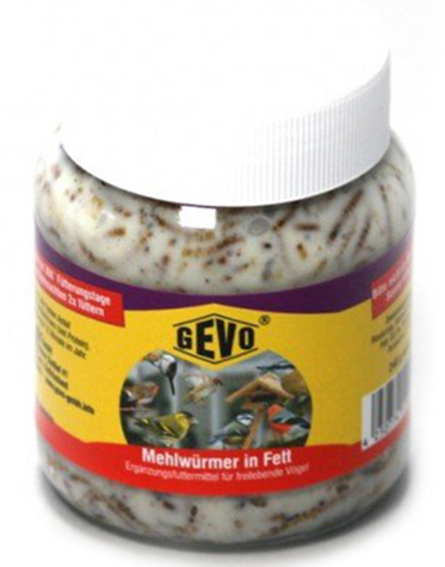 GEVO Mehlwürmer in Fett im Glas 240g