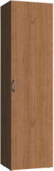 Schrank in Buchefarben