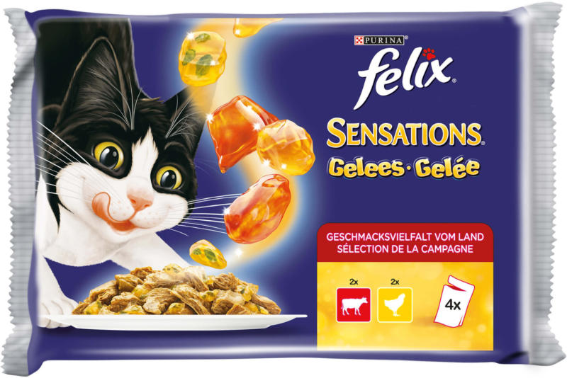 Felix Sensations Gelée Fleisch 10x4x100g