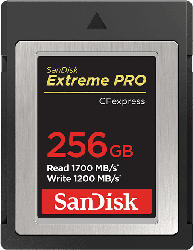 Extreme Pro® CFexpress® Card Type B Speicherkarte 256GB, R1700/W1200 (SDCFE-256G)