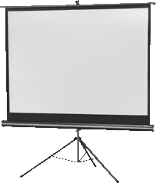 CELEXON 1090019 Stativleinwand 176 x 132 cm Stativleinwand
