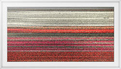 SAMSUNG Customizable Frame 55 Dekorahmen