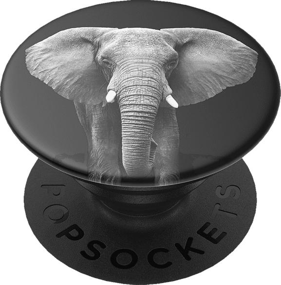 POPSOCKETS Loxodonta Africana Phone Grip & Stand , Loxodonta Africana
