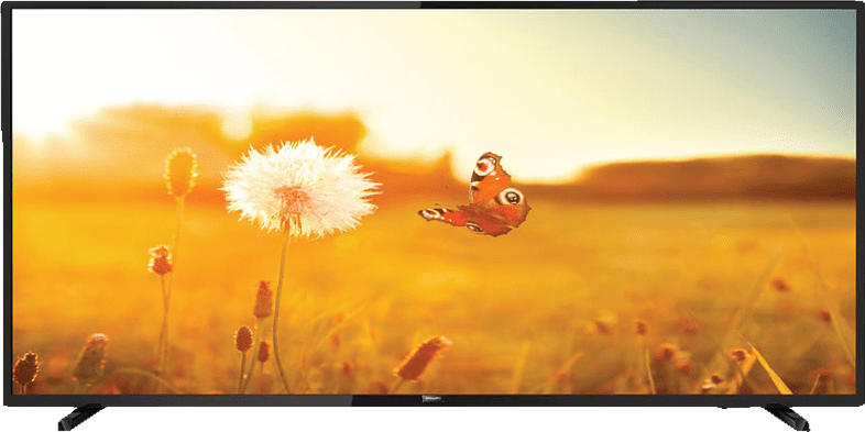 PHILIPS - B2B 43HFL3014/12 LED TV, Schwarz