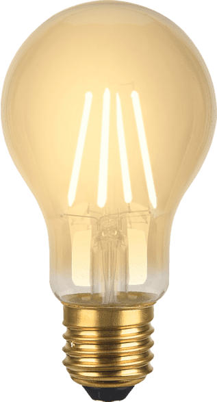XLAYER Smart Echo LED Lampe E27 Retro Smart Glühbirne