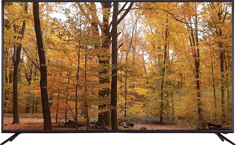 JAY-TECH S65U6511M LED TV (Flat, 64.5 Zoll/164 cm, UHD 4K, SMART TV, Android)