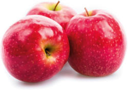 Da komm ich her! Summerred Apfel aus Österreich