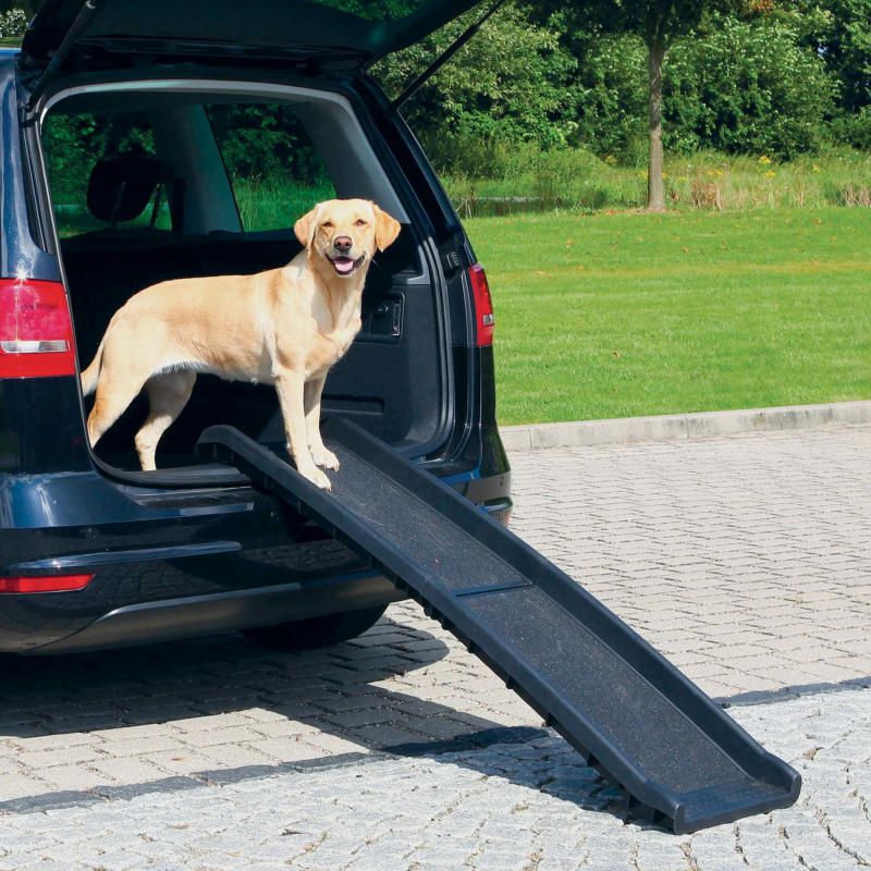 Trixie Rampe pour animaux Petwalk, 40 × 156 cm, 4,5 kg, noir