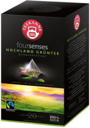 Teekanne Foursenses Hochland Grüntee