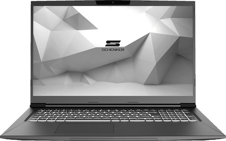 SCHENKER MEDIA 17 - E20sxd, Notebook mit 17.3 Zoll Display, Core™ i7 Prozessor, 16 GB RAM, 500 GB mSSD, GeForce GTX 1650 Ti, Schwarz