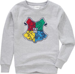 Harry Potter Sweatshirt mit Applikation
