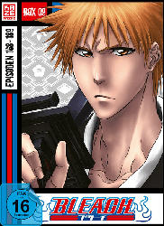 Bleach Vol.9