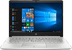 HP 14-dk0357ng, Notebook mit 14 Zoll Display, Ryzen™ 5 Prozessor, 8 GB RAM, 128 GB SSD, 1 TB HDD, AMD Radeon Vega 8, Silber