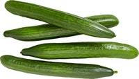 Cetriolo da insalata