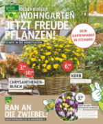 Oldenburger Wohngarten GmbH & Co. KG Jetzt Freude pflanzen! - bis 16.09.2020