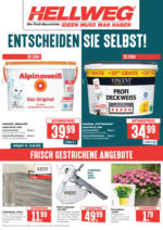 Wochenangebote